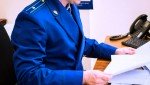 Прокуратура защитила права ребенка, пострадавшего от укусов бродячей собаки